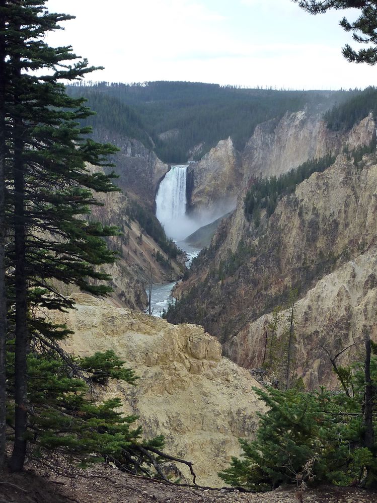 Canyon village Upper fall (13).JPG
